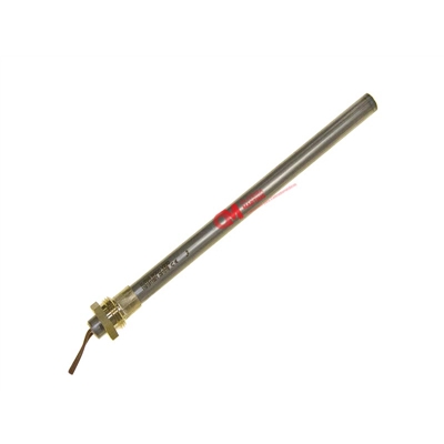 RESISTENCIA BIOMASSA 10 250W 170mm - E344000109