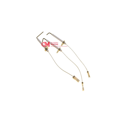 SONDA+ELECTRODO CALDEIRA ROCA - E309930012