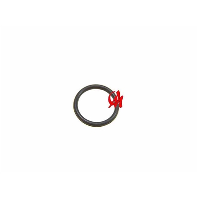 ORING VITON PRETO 28.17X3.53 BIANCHI - 820025