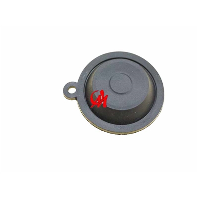 MEMBRANA ESQUENTADOR CHAFFOTEAUX - E367310010