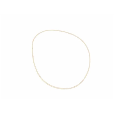 CORREIA SECADOR HOOVER - E260000100